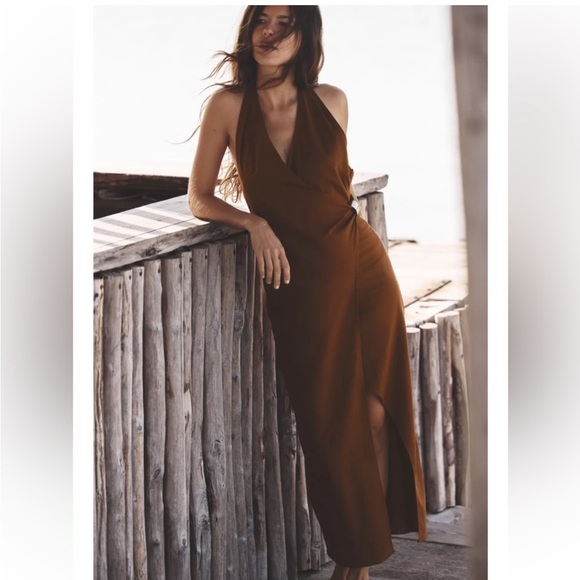 Zara Brown Backless Halter Dress - Picture 9 of 13